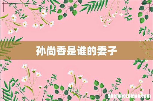 孙尚香是谁的妻子