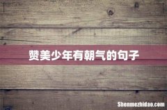 赞美少年有朝气的句子