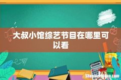 大叔小馆综艺节目在哪里可以看