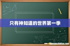 只有神知道的世界第一季