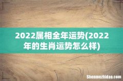 2022年的生肖运势怎么样 2022属相全年运势