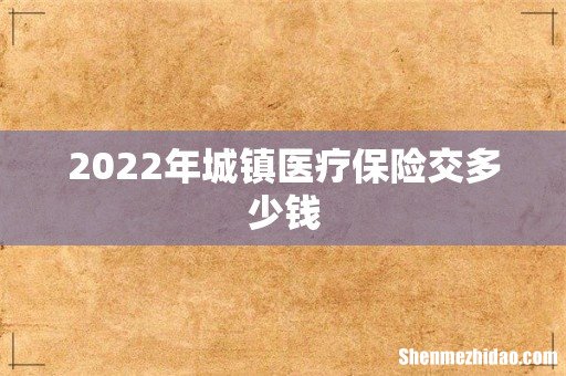 2022年城镇医疗保险交多少钱