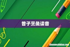 曾子烹彘读音