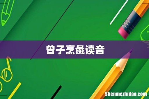 曾子烹彘读音
