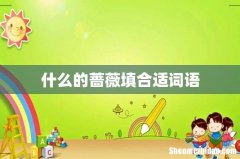 什么的蔷薇填合适词语