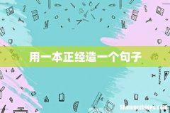 用一本正经造一个句子