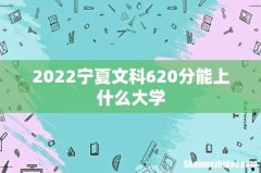 2022宁夏文科620分能上什么大学