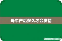 母牛产后多久才会发情