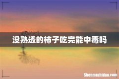 没熟透的柿子吃完能中毒吗