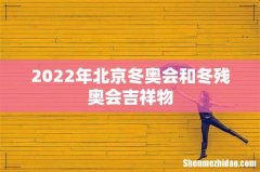 2022年北京冬奥会和冬残奥会吉祥物