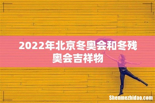 2022年北京冬奥会和冬残奥会吉祥物