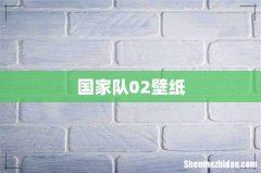 国家队02壁纸