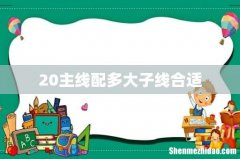 20主线配多大子线合适