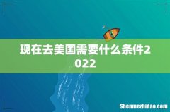 现在去美国需要什么条件2022