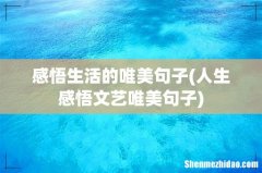 人生感悟文艺唯美句子 感悟生活的唯美句子