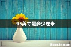 95英寸是多少厘米