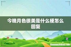今晚月色很美是什么梗怎么回复