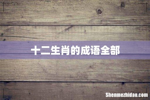 十二生肖的成语全部