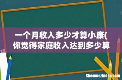 你觉得家庭收入达到多少算是小康水平？ 一个月收入多少才算小康