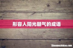 形容人阳光朝气的成语
