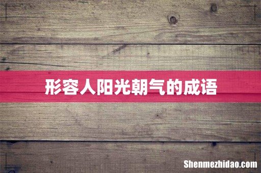 形容人阳光朝气的成语