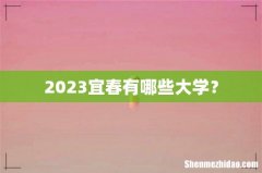 2023宜春有哪些大学？