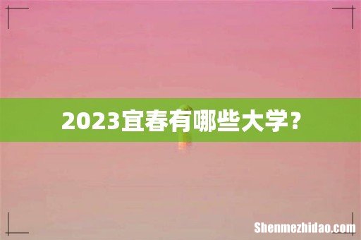 2023宜春有哪些大学?