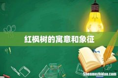 红枫树的寓意和象征