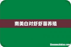 南美白对虾虾苗养殖