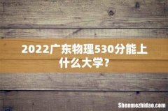 2022广东物理530分能上什么大学？