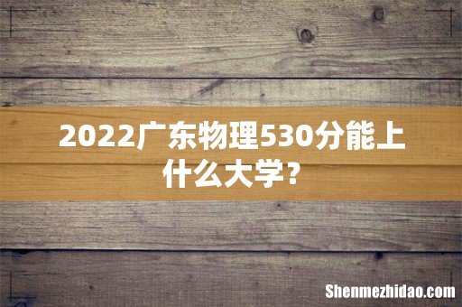 2022广东物理530分能上什么大学?