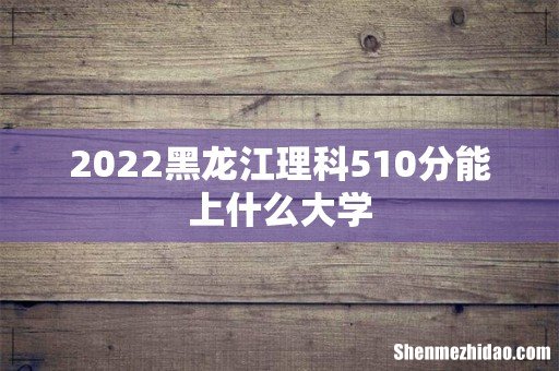 2022黑龙江理科510分能上什么大学