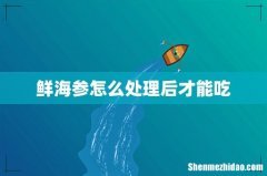 鲜海参怎么处理后才能吃