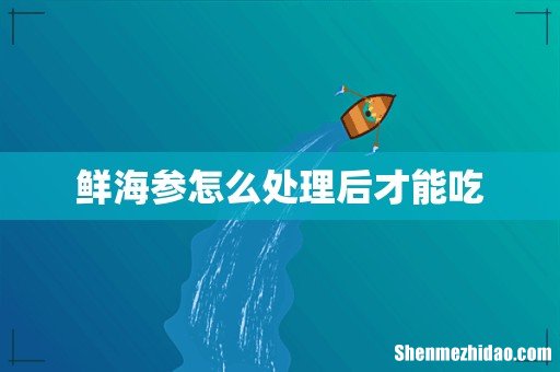 鲜海参怎么处理后才能吃