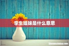 孪生姐妹是什么意思