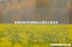 查看抖音月付额度怎么查怎么套出来