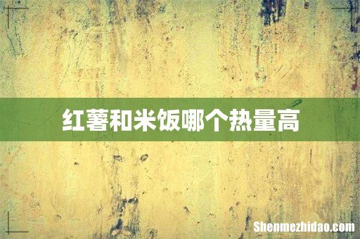 红薯和米饭哪个热量高