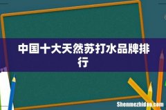 中国十大天然苏打水品牌排行
