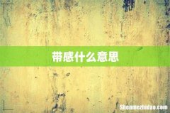 带感什么意思