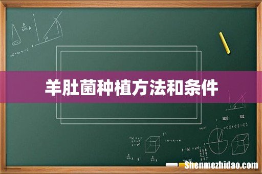 羊肚菌种植方法和条件