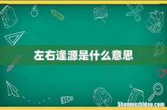 左右逢源是什么意思