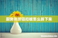 厨房吊顶铝扣板怎么拆下来