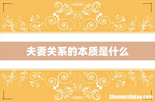 夫妻关系的本质是什么