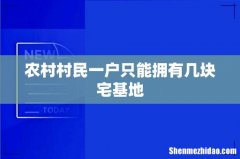 农村村民一户只能拥有几块宅基地