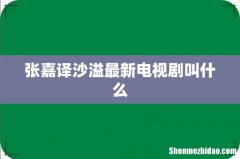 张嘉译沙溢最新电视剧叫什么