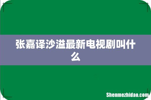 张嘉译沙溢最新电视剧叫什么