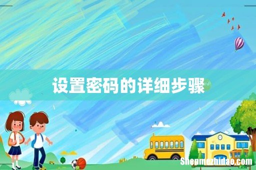 设置密码的详细步骤