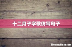 十二月子字歌仿写句子