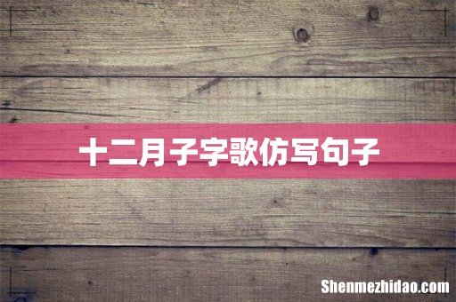 十二月子字歌仿写句子