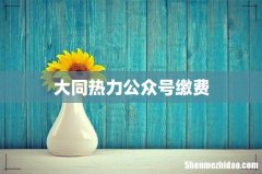 大同热力公众号缴费